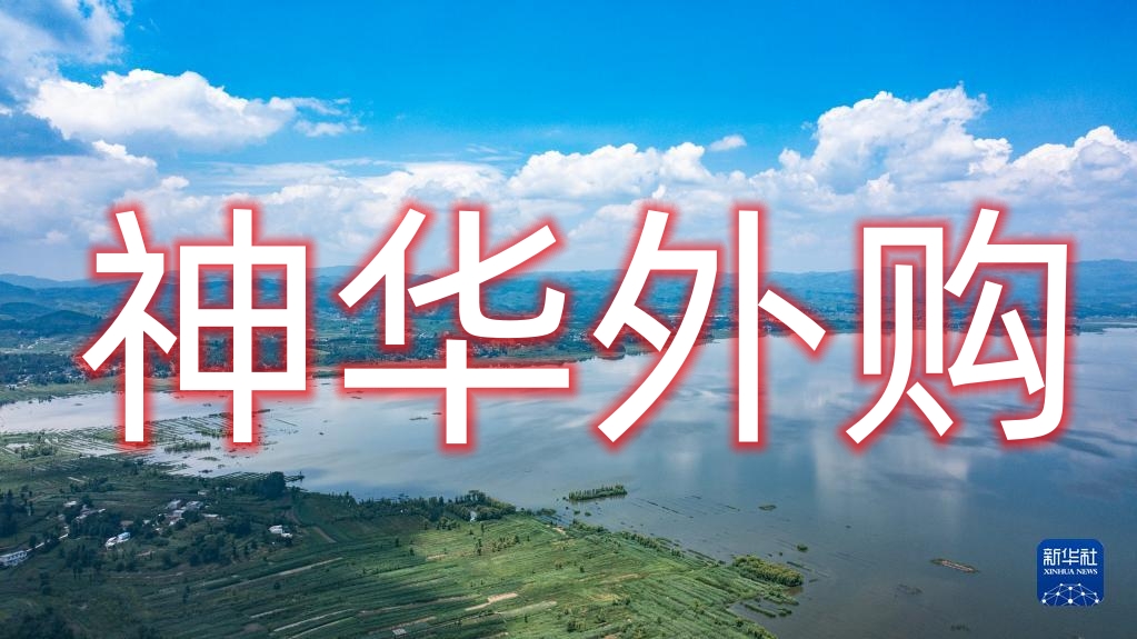 神华外购煤炭价格信息